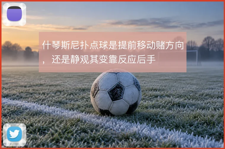 什琴斯尼扑点球是提前移动赌方向，还是静观其变靠反应后手