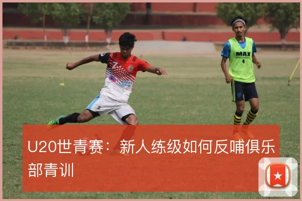 U20世青赛：新人练级如何反哺俱乐部青训