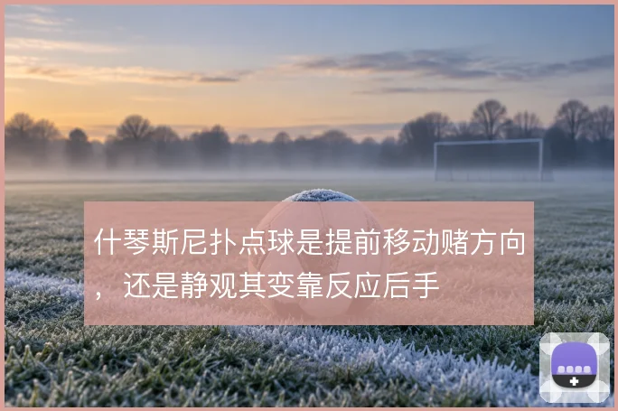 什琴斯尼扑点球是提前移动赌方向，还是静观其变靠反应后手